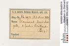 Etiketten zu Diamant (NHMW-MIN-Ab6914)